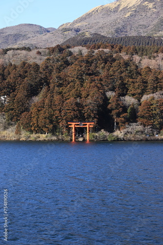 Torii in the Lake