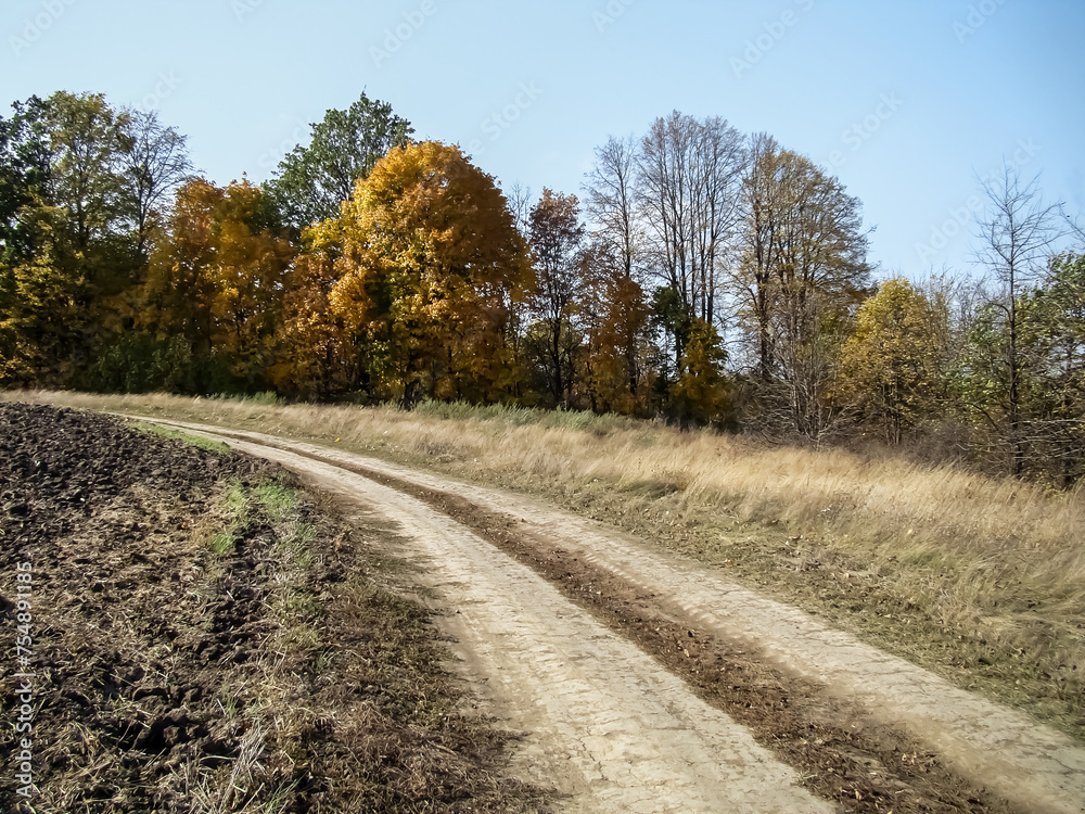 
Dirt road in the countryside in early autumn.