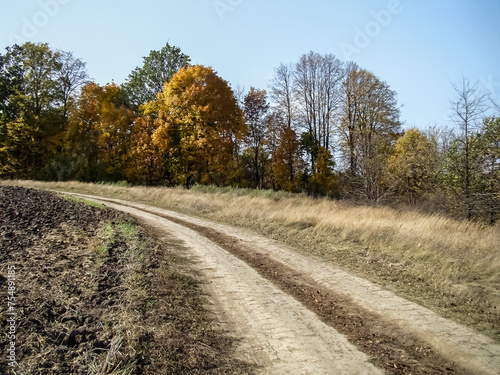  Dirt road in the countryside in early autumn. © Anatoliy