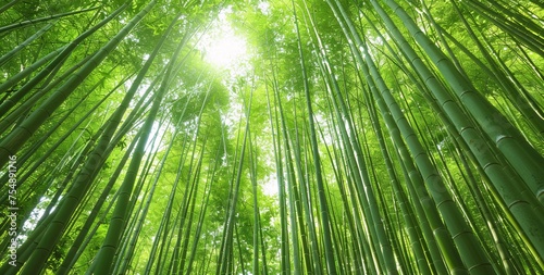 Bamboo Grove Glows with Sunlight A Serene, Eco-Friendly Spot for Yoga and Meditation Generative AI