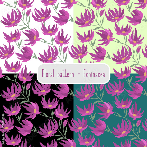 Echinacea. Seamless pattern with handdrawn flowers