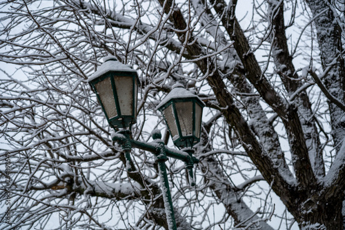 street lamp in the snow, against the background of a tree 