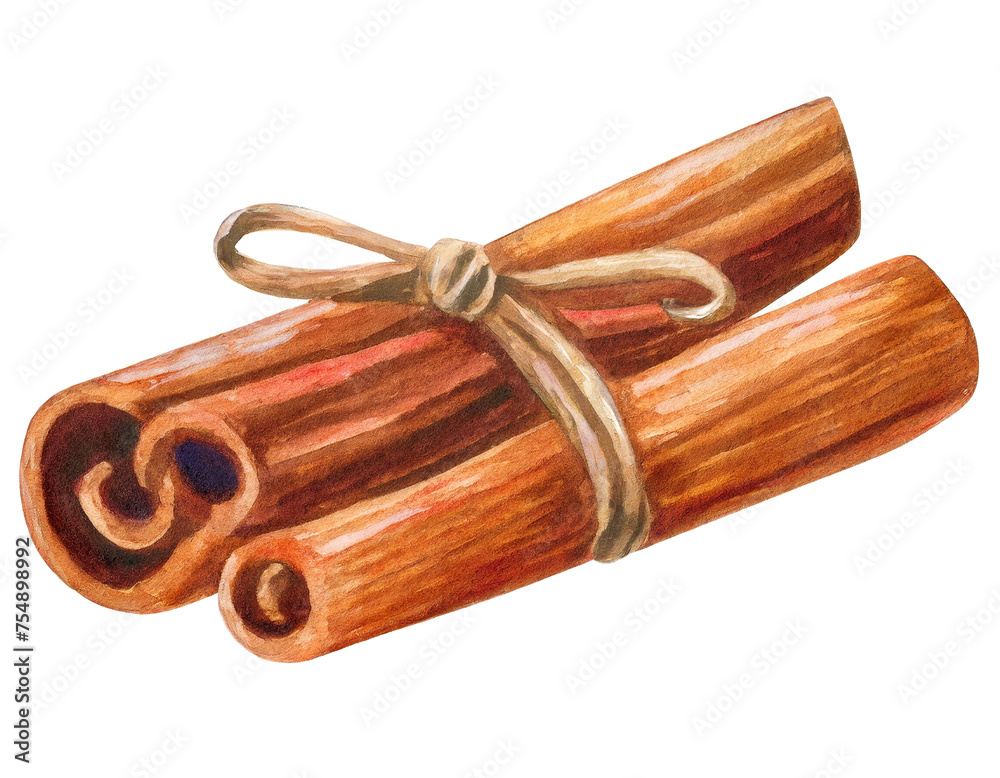 Cinnamon stick isolated on white background, cut out Cinnamon stick isolated on white background, cut out