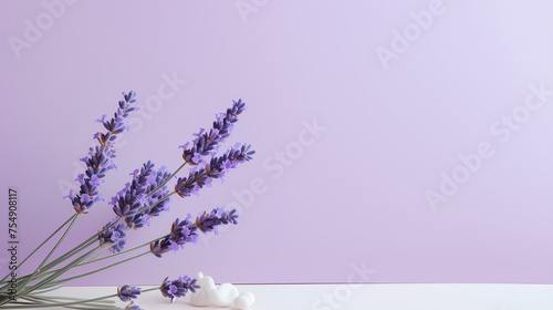 lavender on colored background with copy space