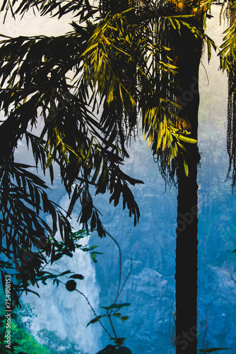 Tropical forest and waterfall in the background at Magod, Karnataka, India photo