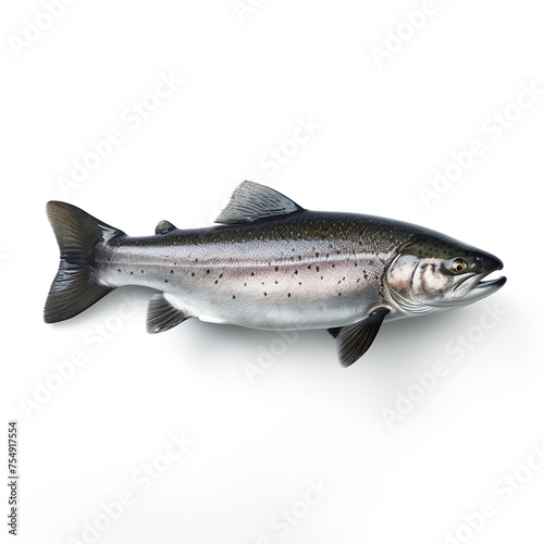 Trout fish on white background сreated with Generative Ai