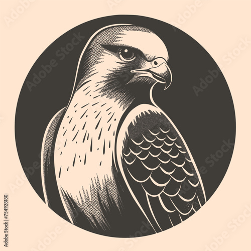 Black and White Falcon (hawk) Outline Silhouette Ornament Vector Art for Logo and Icon, Sketch, Tattoo, Clip Art