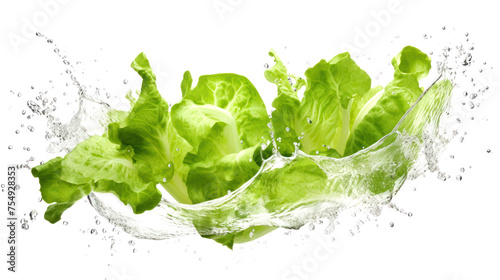 Lettuce sliced pieces flying in the air with water splash isolated on transparent png.
