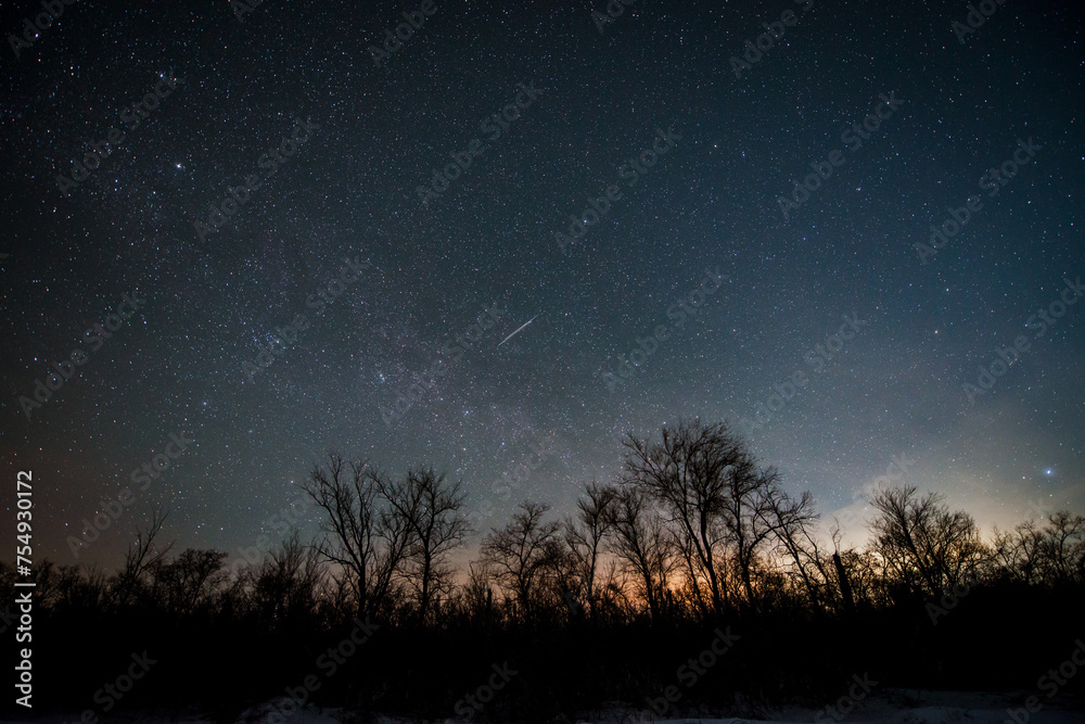 the starry sky in the winter forest