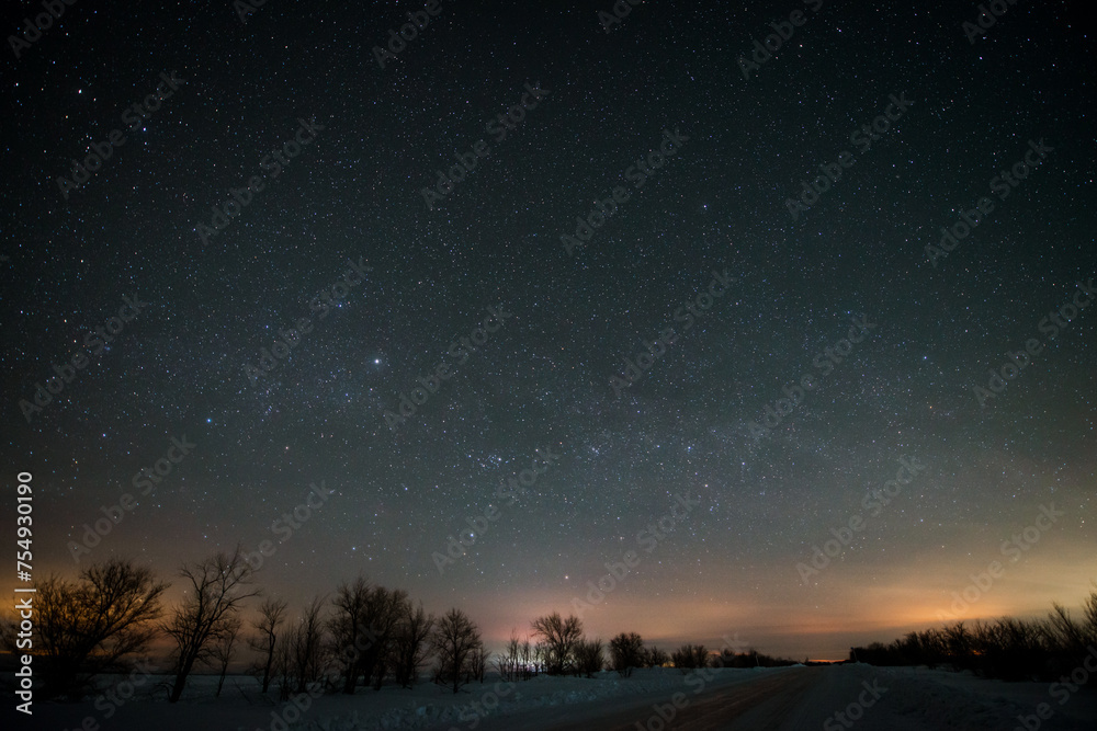 the starry sky in the winter forest