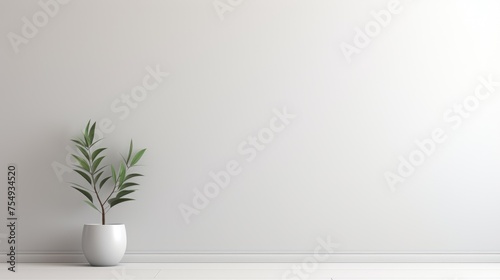 Minimalist Elegance: Modern Houseplant in Blank Interior Decor. Suitable for your projects and copyspace writing. photo