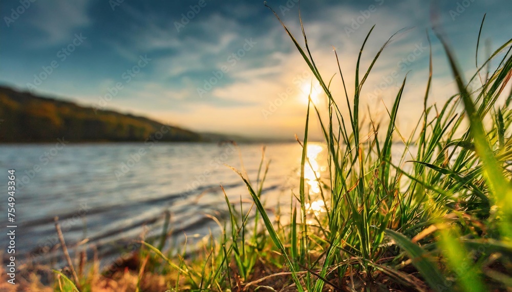 grass on the shore of the lake at sunset abstract nature background