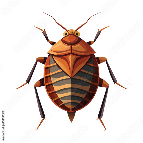 Bedbug isolated illustration on white background
