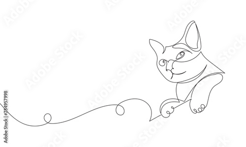 continuous single line drawing of climbing cat, line art isolated vector illustration