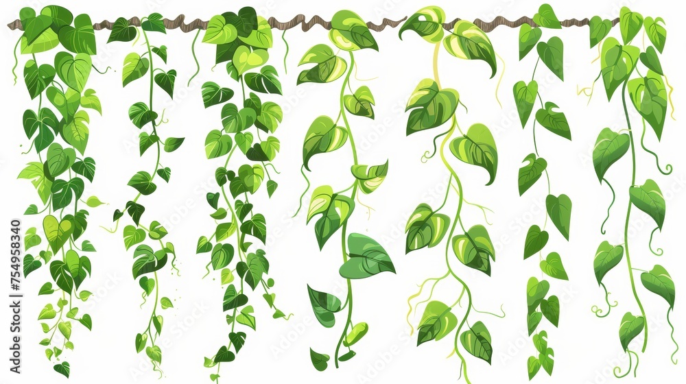 Green liana vines with lush leaves. Cartoon modern illustration collection of rainforest creeping branches with foliage. Short ivy climbing stems and rope. Tropical hanging vegetation. Green liana vines with lush leaves. Cartoon modern illustration collection of rainforest creeping branches with foliage. Short ivy climbing stems and rope. Tropical hanging vegetation.