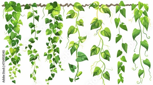 Green liana vines with lush leaves. Cartoon modern illustration collection of rainforest creeping branches with foliage. Short ivy climbing stems and rope. Tropical hanging vegetation.