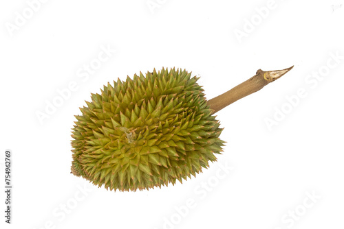 Durian is the fruit of several tree species belonging to the genus Durio.