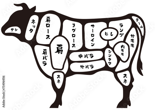 牛肉の主要部位