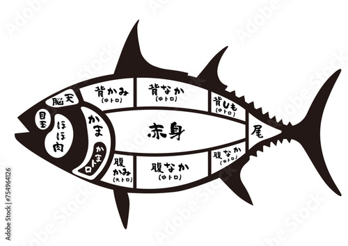 マグロ主要部位