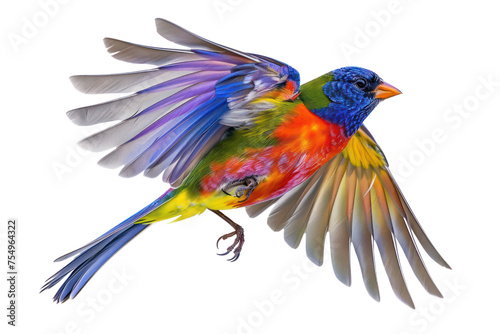 painted bunting bird on isolated transparent background