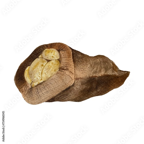 Burlap bag potato brown a watercolor illustration
