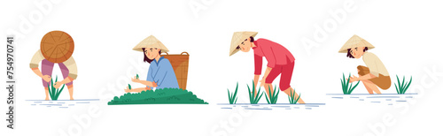 Asian Farmers in Straw Conical Hat Working on Field Vector Set