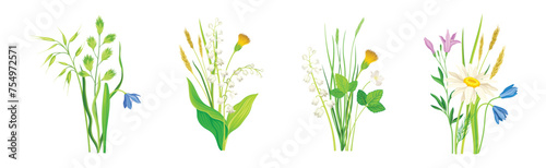 Wildflower Composition with Meadow Plants and Flora Vector Set
