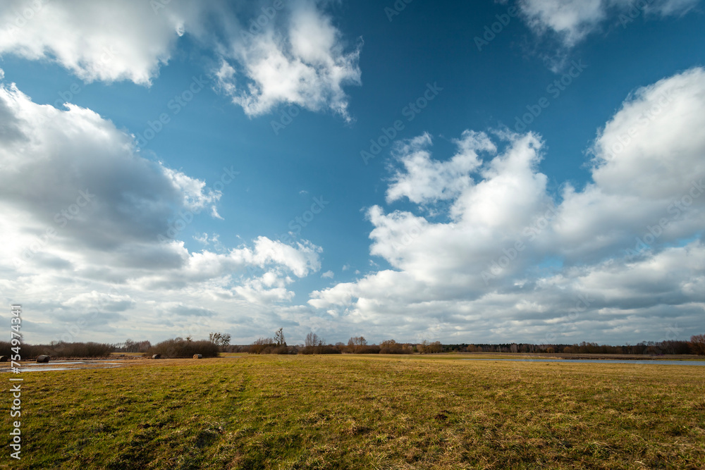 White clouds on blue sky over the meadow