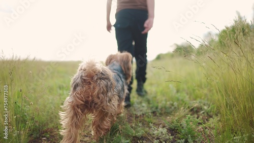 boy walking the dog in the park. happy family pet shaggy puppy kid dream concept. small child legs close-up walking in nature in the park with a dog. child and lifestyle dog walking in nature © ibragimova