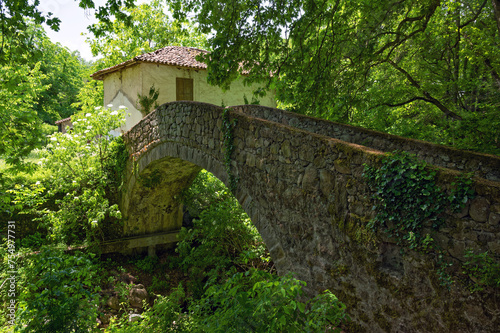 View of a traditional stone bridge at the village of Ano Karyofyto in Thrace, Greece © dinosmichail
