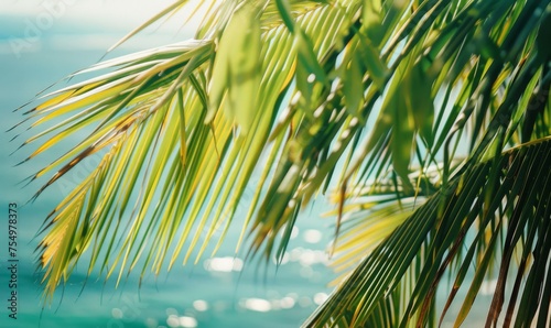 Tropical beach scene featuring a cluster of coconut palm trees lining the shore