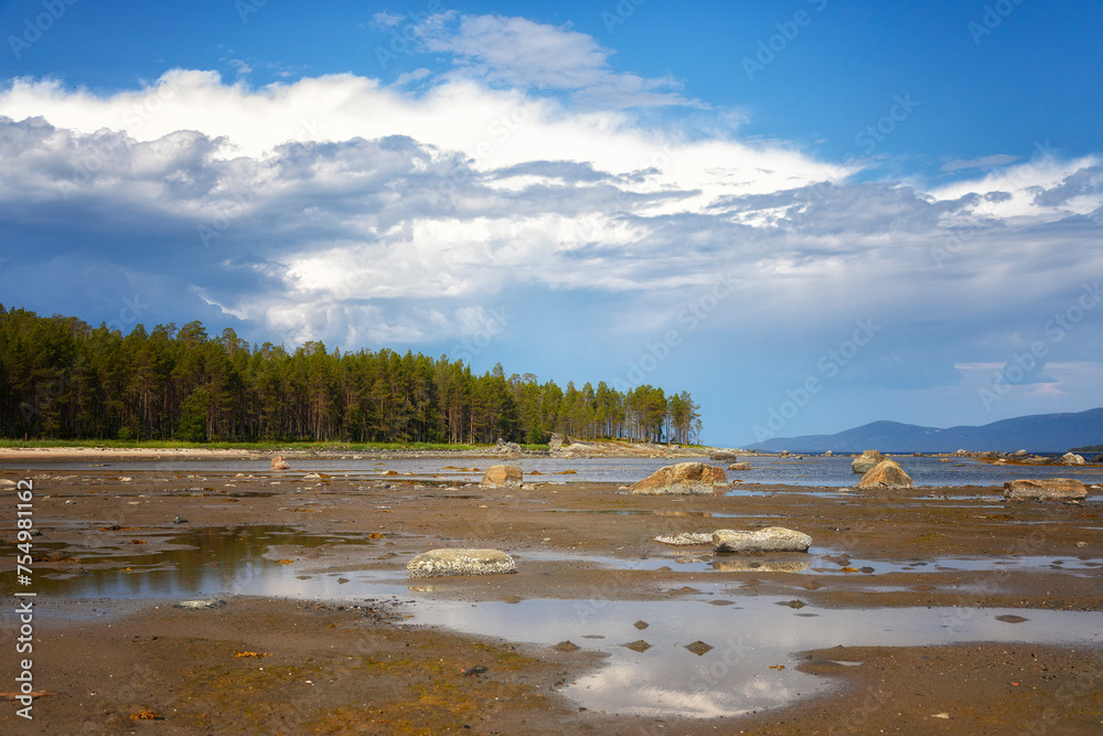Littoral of the White Sea at low tide on summer