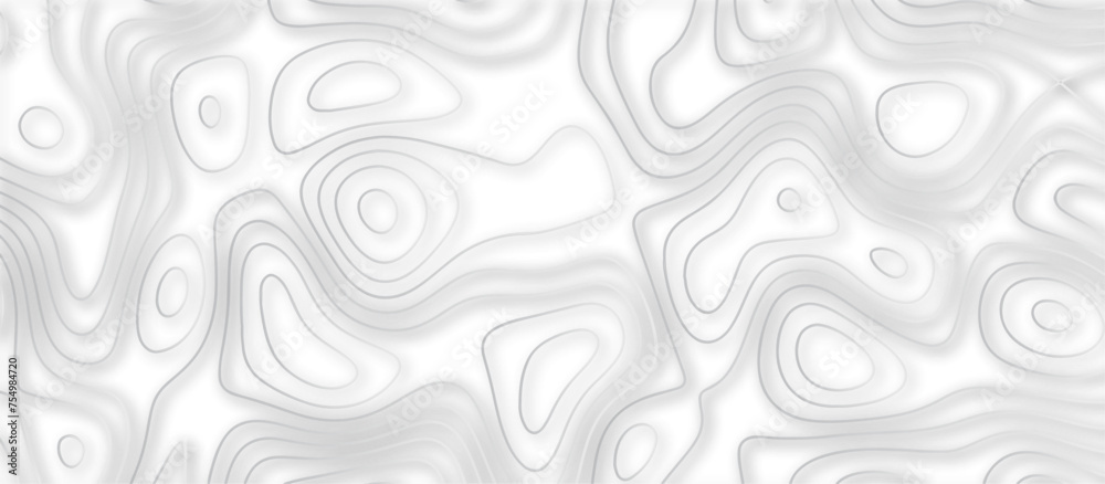Abstract topographic contours 3d map background .topographic line texture background .monochrome image .stylized height of the topographic map contour in lines.	