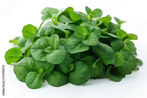 Fresh green spinach leaves healthy vegetable on white background