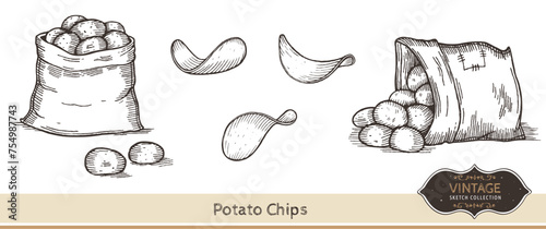 Hand drawn potatoes and potato chips isolated on white background. Vector Illustration. 