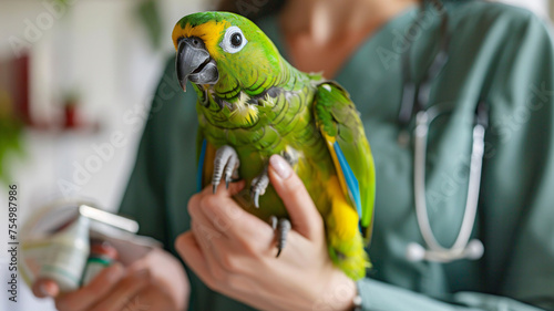 A veterinary medicine expert providing care to pet birds, showcasing the importance of pet health in preventing zoonosis and bacterial infections photo
