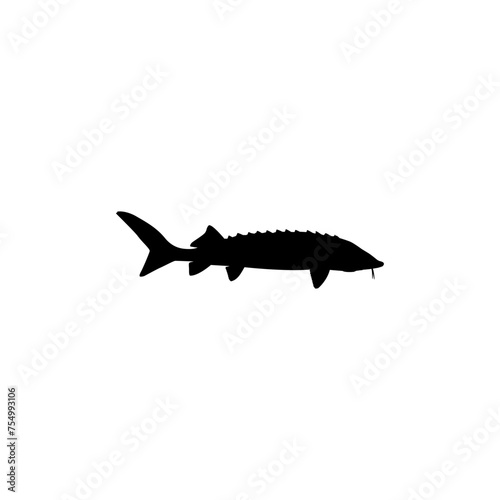 Beluga Sturgeon or Huso Fish Silhouette, Flat Style, Fish Which Produce Premium and Expensive Caviar, For Logo Type, Art Illustration, Pictogram, Apps, Website or Graphic Design Element. Vector 