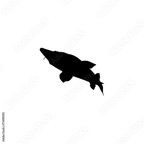 Beluga Sturgeon or Huso Fish Silhouette, Flat Style, Fish Which Produce Premium and Expensive Caviar, For Logo Type, Art Illustration, Pictogram, Apps, Website or Graphic Design Element. Vector 