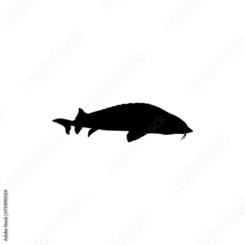 Beluga Sturgeon or Huso Fish Silhouette, Flat Style, Fish Which Produce Premium and Expensive Caviar, For Logo Type, Art Illustration, Pictogram, Apps, Website or Graphic Design Element. Vector 