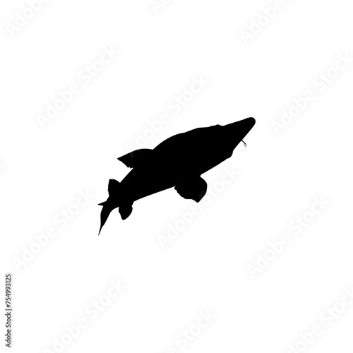 Beluga Sturgeon or Huso Fish Silhouette, Flat Style, Fish Which Produce Premium and Expensive Caviar, For Logo Type, Art Illustration, Pictogram, Apps, Website or Graphic Design Element. Vector 