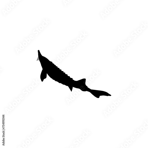 Beluga Sturgeon or Huso Fish Silhouette, Flat Style, Fish Which Produce Premium and Expensive Caviar, For Logo Type, Art Illustration, Pictogram, Apps, Website or Graphic Design Element. Vector 