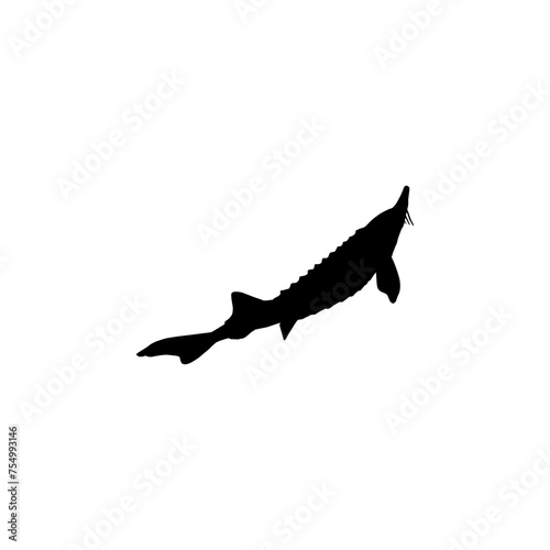 Beluga Sturgeon or Huso Fish Silhouette, Flat Style, Fish Which Produce Premium and Expensive Caviar, For Logo Type, Art Illustration, Pictogram, Apps, Website or Graphic Design Element. Vector 