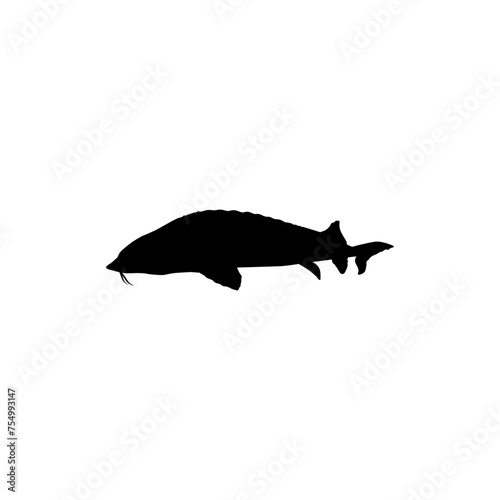 Beluga Sturgeon or Huso Fish Silhouette, Flat Style, Fish Which Produce Premium and Expensive Caviar, For Logo Type, Art Illustration, Pictogram, Apps, Website or Graphic Design Element. Vector 
