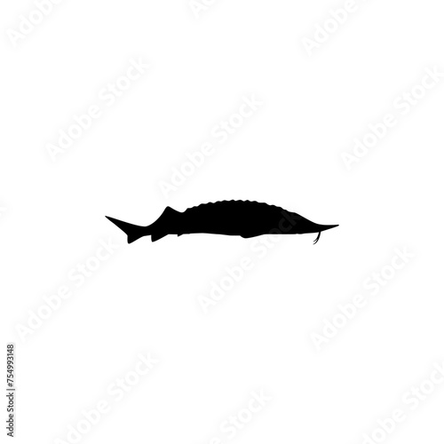 Beluga Sturgeon or Huso Fish Silhouette  Flat Style  Fish Which Produce Premium and Expensive Caviar  For Logo Type  Art Illustration  Pictogram  Apps  Website or Graphic Design Element. Vector 