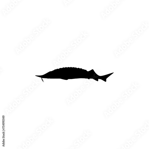 Beluga Sturgeon or Huso Fish Silhouette, Flat Style, Fish Which Produce Premium and Expensive Caviar, For Logo Type, Art Illustration, Pictogram, Apps, Website or Graphic Design Element. Vector 