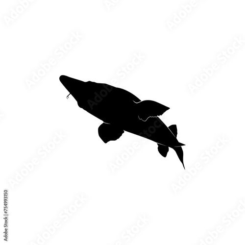 Beluga Sturgeon or Huso Fish Silhouette, Flat Style, Fish Which Produce Premium and Expensive Caviar, For Logo Type, Art Illustration, Pictogram, Apps, Website or Graphic Design Element. Vector 