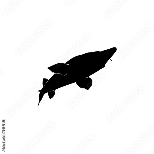 Beluga Sturgeon or Huso Fish Silhouette, Flat Style, Fish Which Produce Premium and Expensive Caviar, For Logo Type, Art Illustration, Pictogram, Apps, Website or Graphic Design Element. Vector 