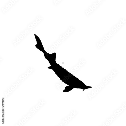 Beluga Sturgeon or Huso Fish Silhouette, Flat Style, Fish Which Produce Premium and Expensive Caviar, For Logo Type, Art Illustration, Pictogram, Apps, Website or Graphic Design Element. Vector  photo
