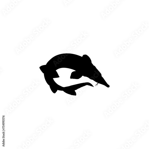 Beluga Sturgeon or Huso Fish Silhouette, Flat Style, Fish Which Produce Premium and Expensive Caviar, For Logo Type, Art Illustration, Pictogram, Apps, Website or Graphic Design Element. Vector 