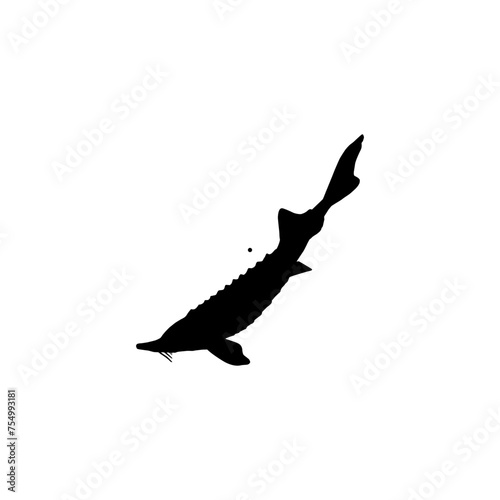 Beluga Sturgeon or Huso Fish Silhouette, Flat Style, Fish Which Produce Premium and Expensive Caviar, For Logo Type, Art Illustration, Pictogram, Apps, Website or Graphic Design Element. Vector 